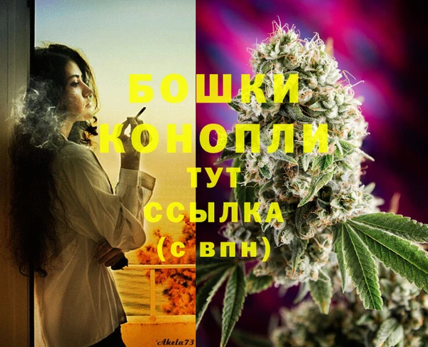 гашик Абинск