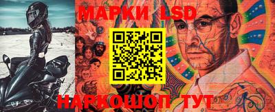 винт Новозыбков