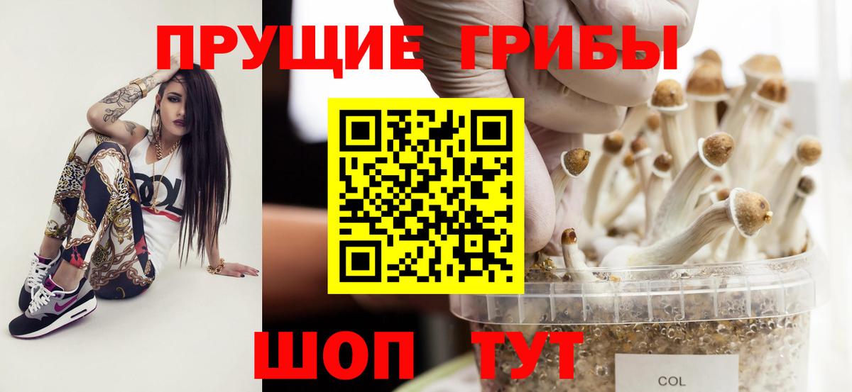 Псилоцибиновые грибы прущие грибы Избербаш
