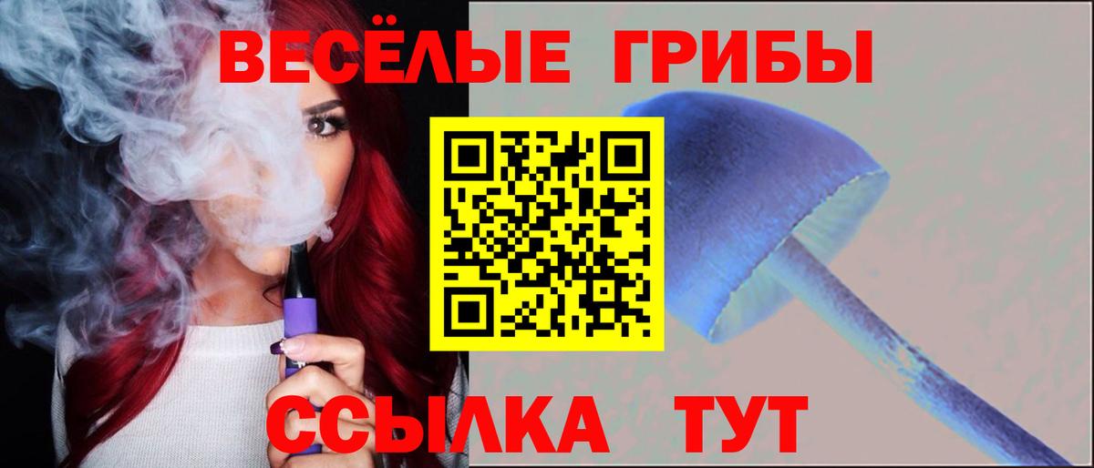 Избербаш  как найти закладки  Псилоцибиновые грибы Cubensis  Вход с VPN  Галлюциногенные грибы мухоморы 